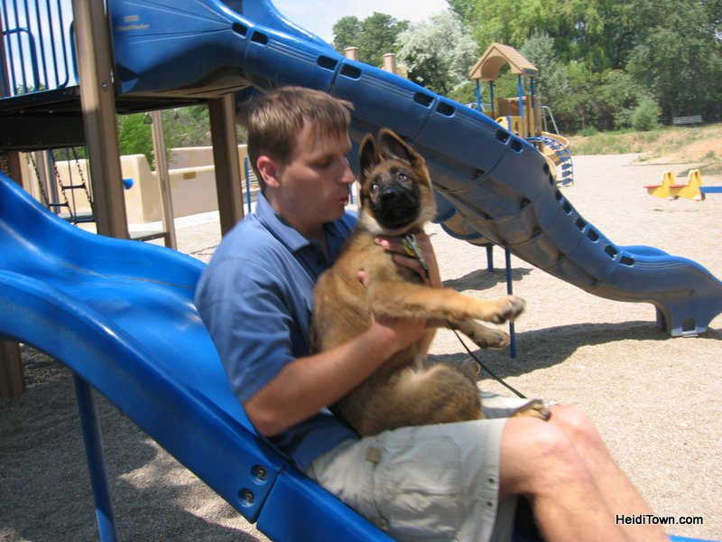 Dog is My Co-Pilot Photo 14. HeidiTown.com