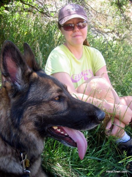 Dog is my Co-Pilot Photos 16. HeidiTown (5)
