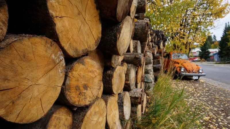 Embrace Fall in Colorado with These Outings. HeidiTown.com. Breckenridge fall 3 Photographer Dan-Bergeron
