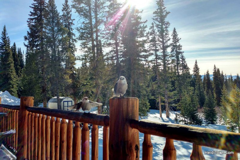 A New Restaurant in Leadville, Colorado & Old Favorites 8, HeidiTown.com