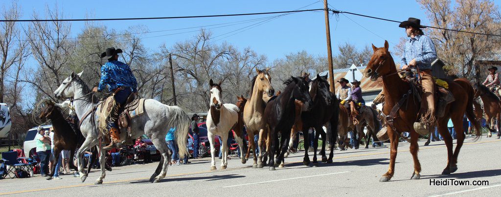 Craig & Maybell Horse Drives & Tacos in Northwest Colorado. HeidiTown (5)