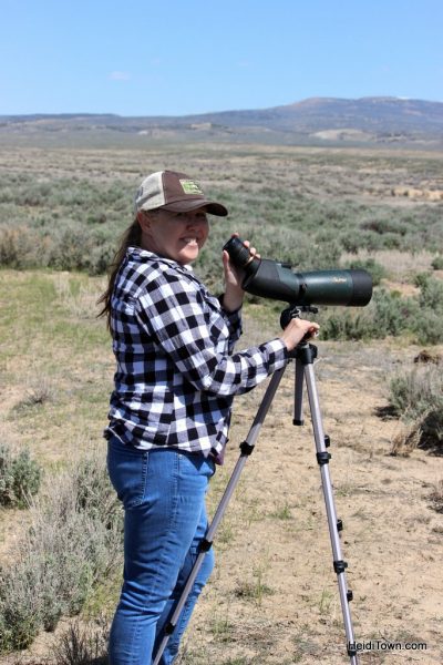 The Wild Horses of Northwest Colorado Sand Wash Basin HeidiTown (8)