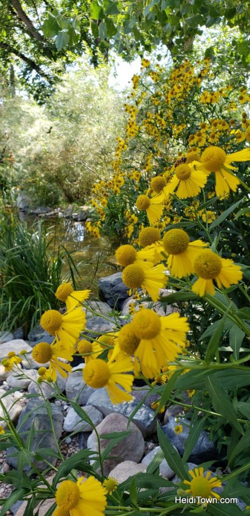The FREE Cheyenne Botanic Gardens in Cheyenne, Wyoming. HeidiTown (13)