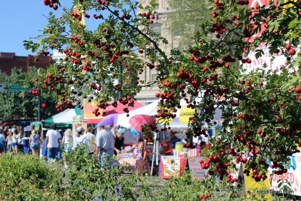 Fall in Love with Pueblo, Colorado Part One Chile Festival