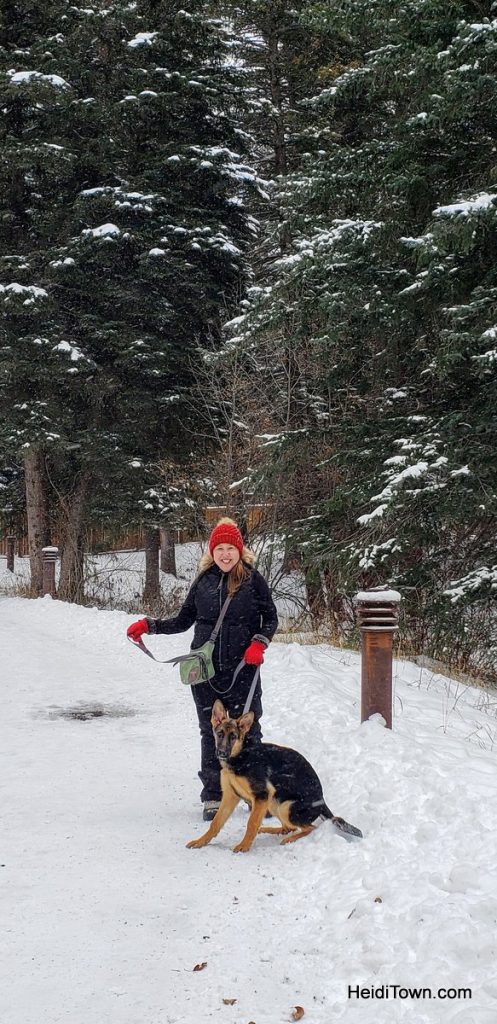 2019, A Year I’d Rather Forget, But… HeidiTown.com (Revely, Vail, CO)