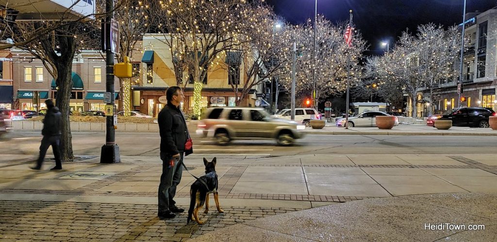 Take Your Furry Friend to Dog-Friendly Fort Collins, Colorado. HeidiTown (8)