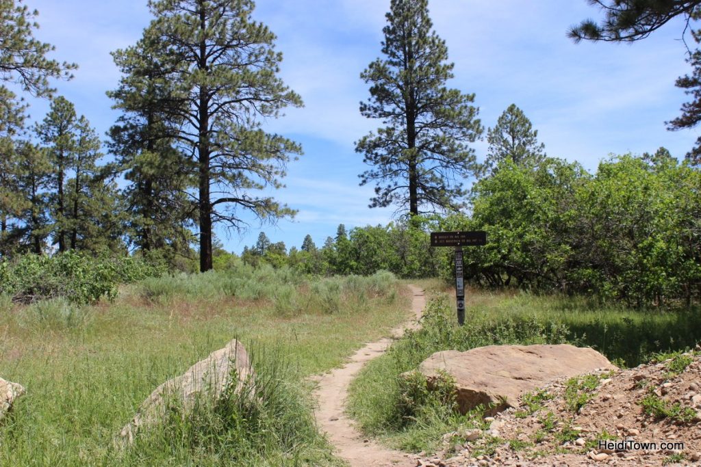 Boggy Draw near Dolores, Colorado. The Heidi Guide