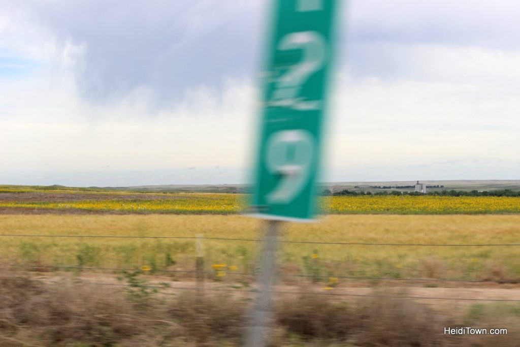 Road Trips are not New 7 Reasons to Take One, 5. HeidiTown.com