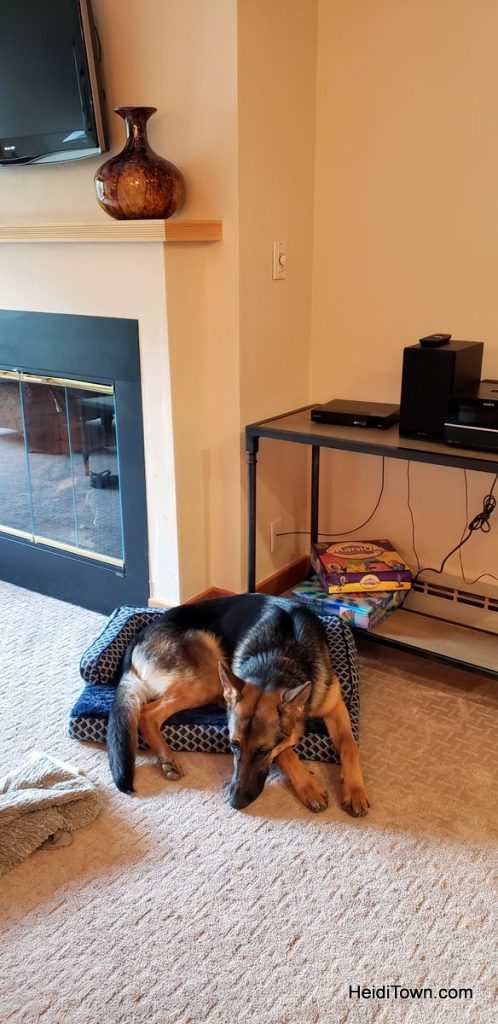 Vail, Colorado is Open for Business Dog-Friendly Lodging. HeidiTown.com