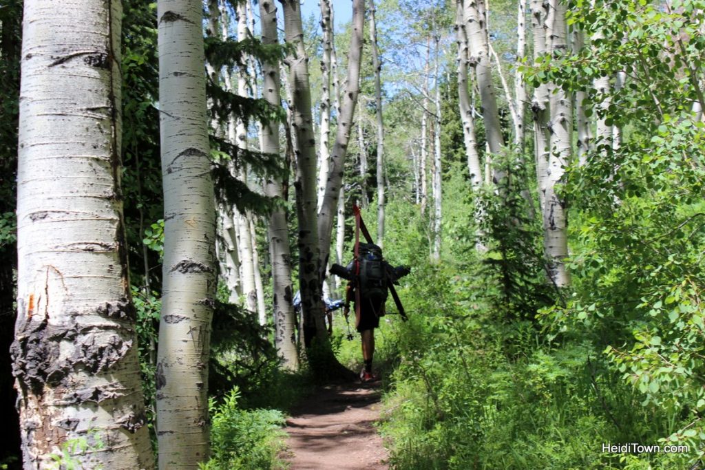 Vail, Colorado is Open for Business Take a Postcard Pretty Hike. HeidiTown (8)
