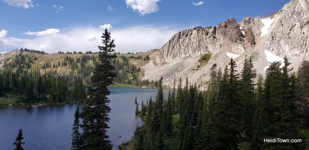 The Snowy Range in Living Color Wildflowers in Wyoming. HeidiTown (23)