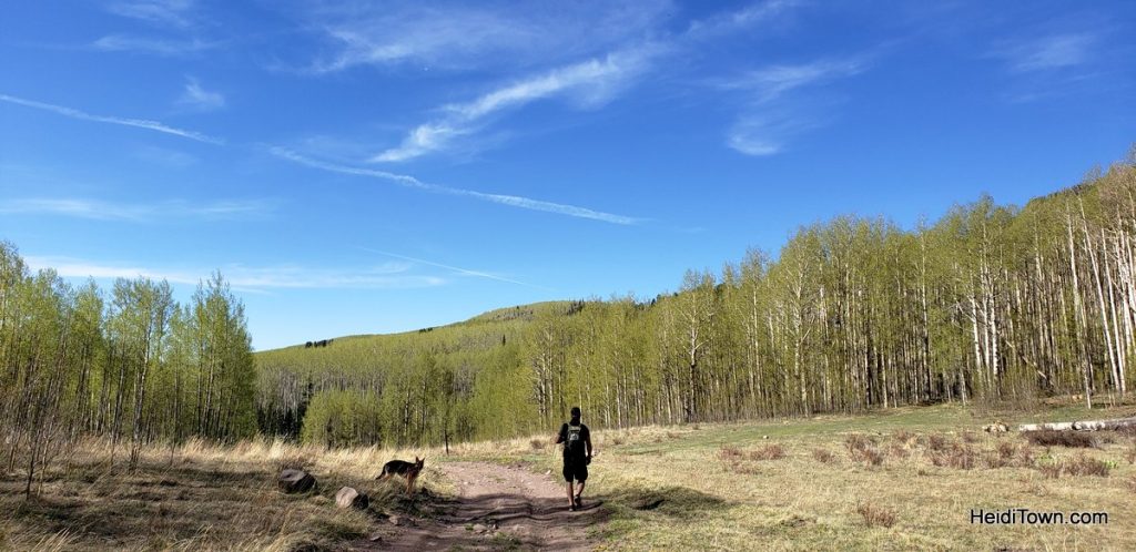 North Rock Creek Trail #701 in spring. San Luis Valley. HeidiTown (2)