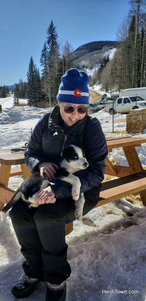 The Mayor’s Travel Memories from the Road (Dog Sledding!) Durango Dog Ranch. HeidiTown