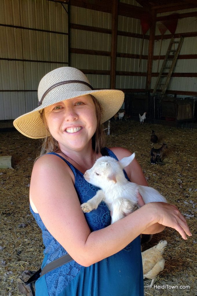 Belle Fourche, South Dakota A Farmstand, Goats & Wildflowers. HeidiTown (7)