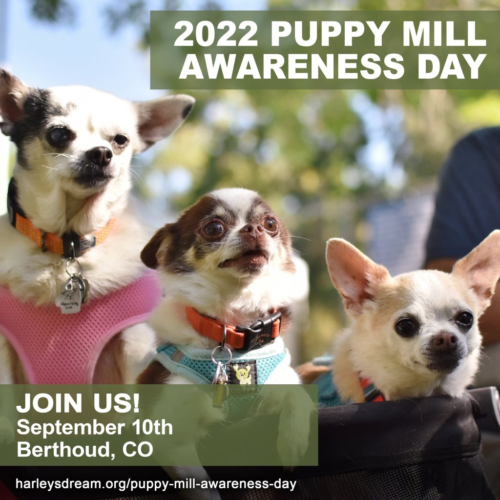 Featured Festival Puppy Mill Awareness Day, 2022